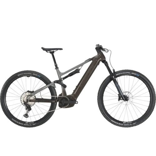 Bergstrom Axv 849 750wh
