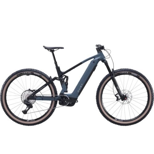 Bergstrom Dust 3.8