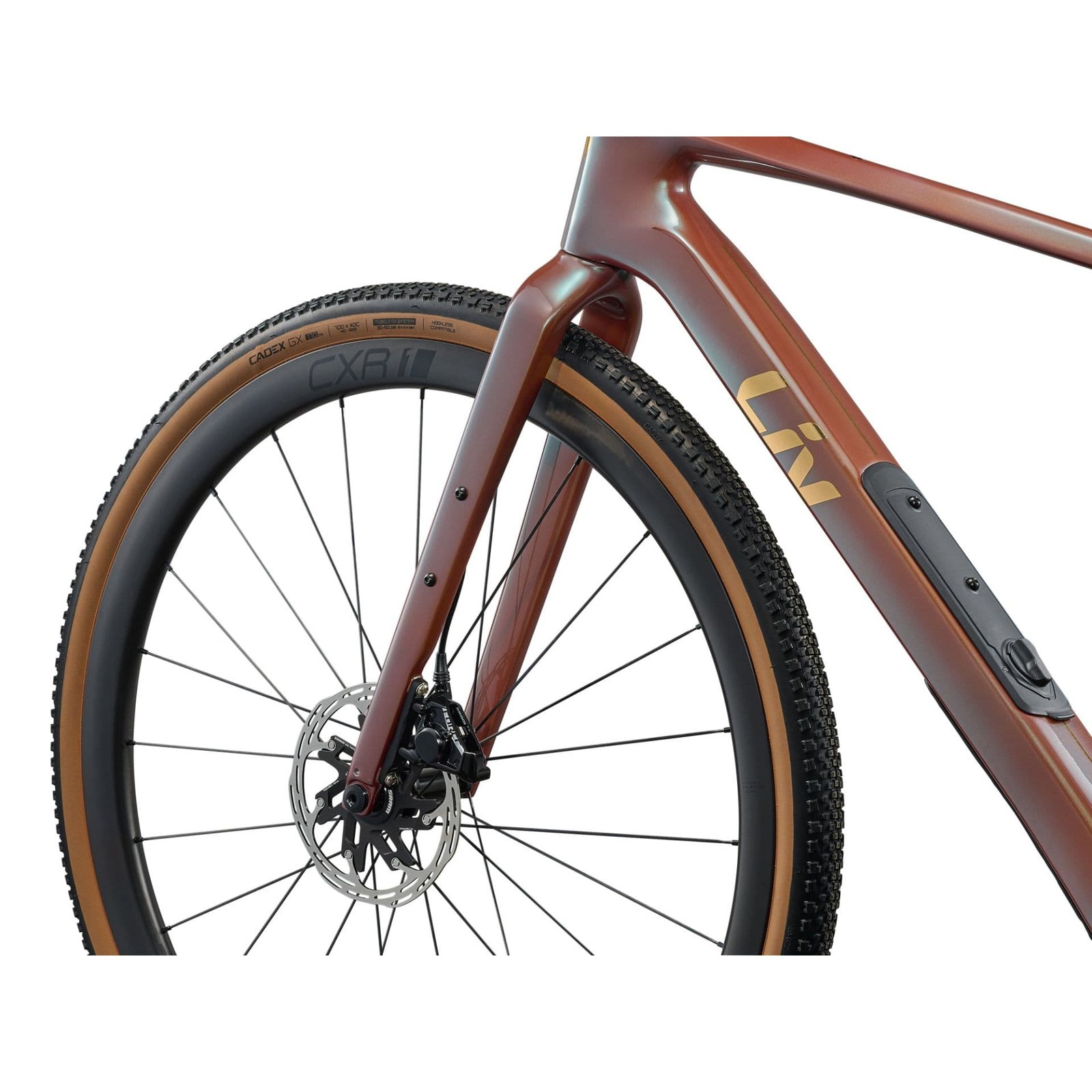 Liv Devote Advanced Pro – Bild 2